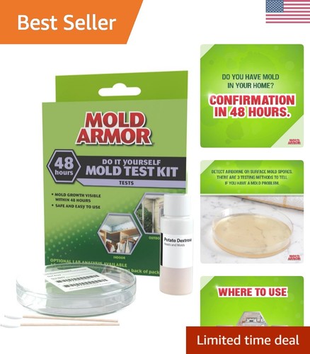 Yourself mold kit - it,