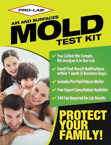 Mold test kits for home - for, air