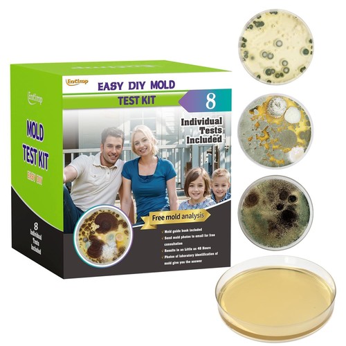 Mold test kit for - mold,