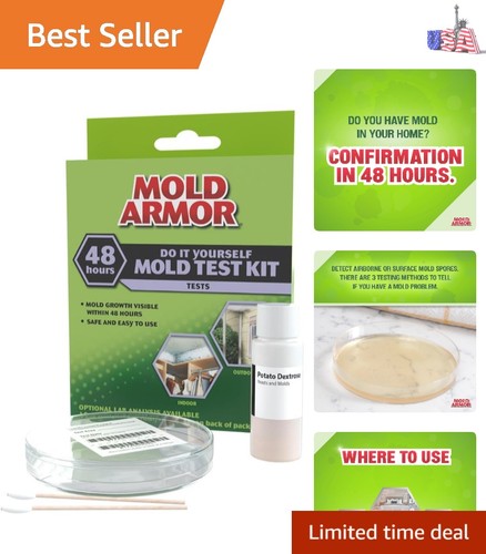 Yourself mold kit - it,