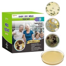 Mold Test Kit for Home Within