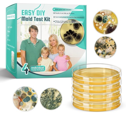 Mold test kit for home - test,