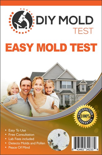 Mold test kit for home - for, diy