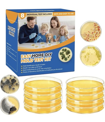 Diy mold test kit for - test,