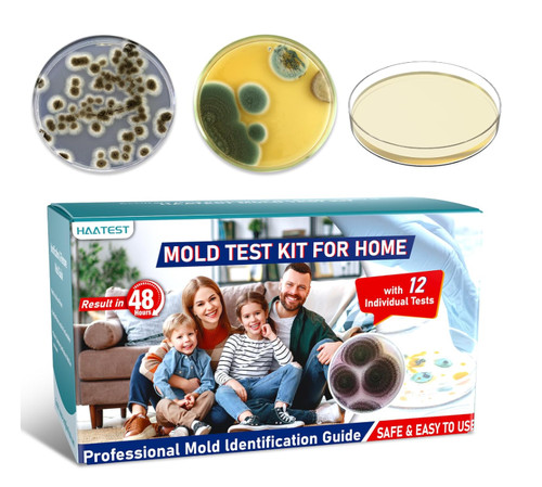 Home mold test - home, detector