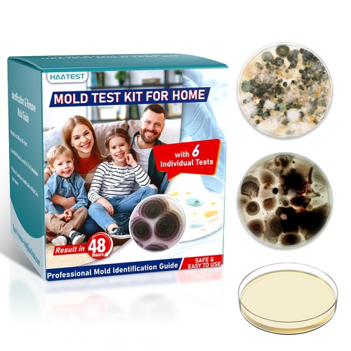 Haatest mold test - test, kit